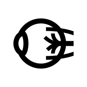 Anatomy Eye Eyeball Vision Icon icon