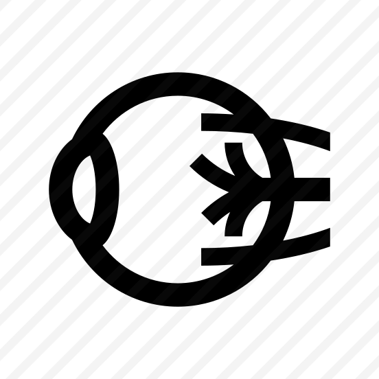 Anatomy Eye Eyeball Vision Icon preview