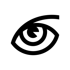 Anatomy Eye Vision Optic Icon icon