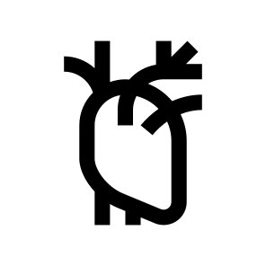 Anatomy Heart Internal Organ Icon icon