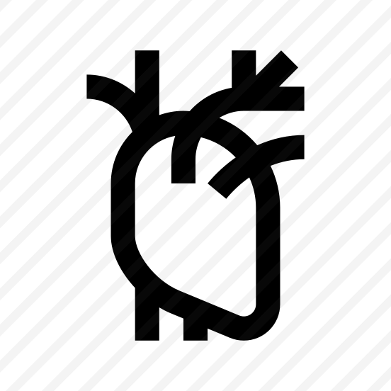 Anatomy Heart Internal Organ Icon preview