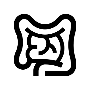 Anatomy Intestines Bowel Colon Icon icon
