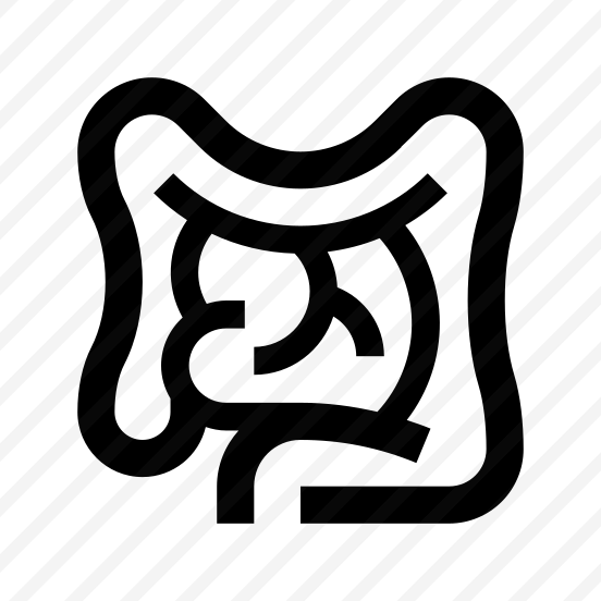 Anatomy Intestines Bowel Colon Icon preview