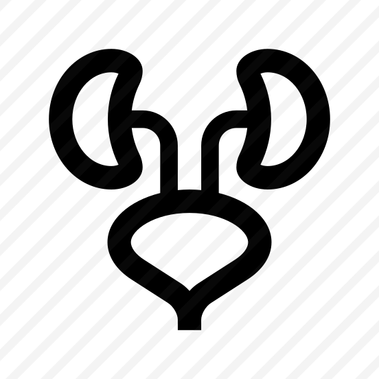 Anatomy Kidneys Urinary Tract Internal Organ preview