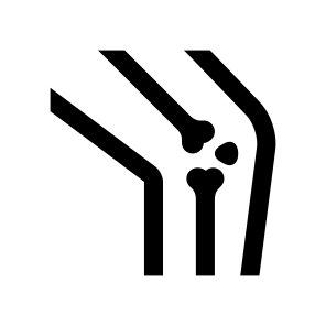 Anatomy Leg Bones Knee Icon icon