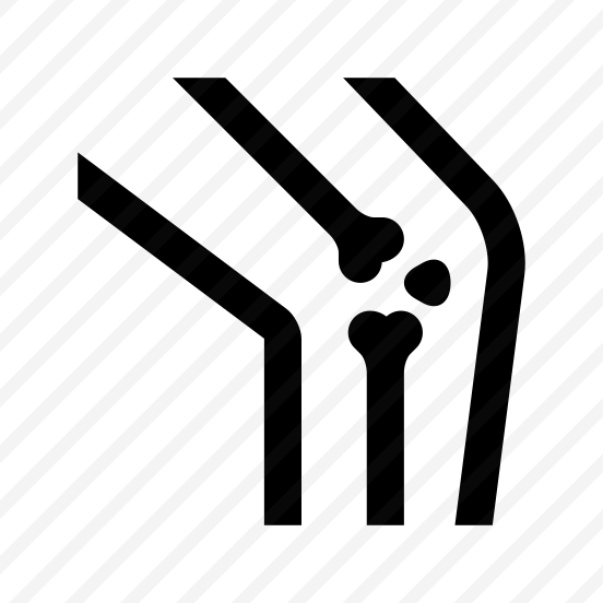 Anatomy Leg Bones Knee Icon preview