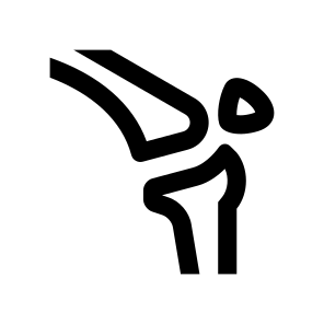 Anatomy Leg Bones Skeleton Icon icon