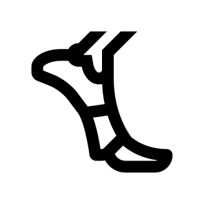 Anatomy Leg Foot Bones Icon icon