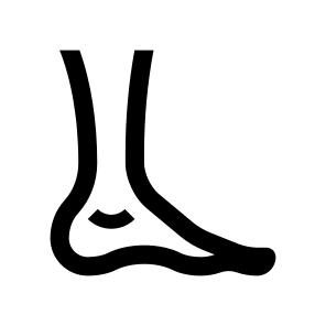 Anatomy Leg Foot Icon Symbol icon