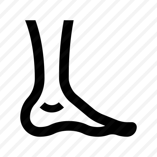 Anatomy Leg Foot Icon Symbol preview