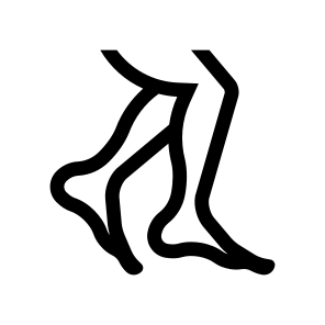 Anatomy Legs Feet Icon Symbol icon