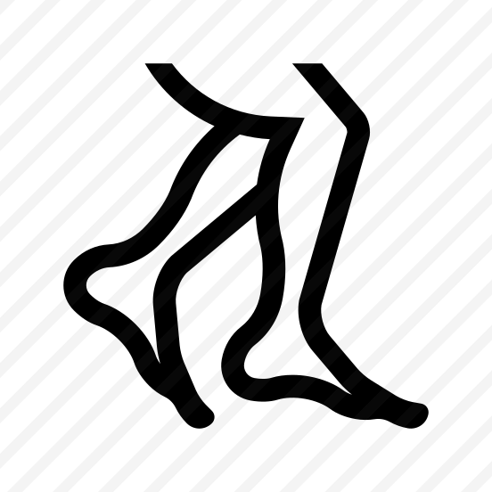 Anatomy Legs Feet Icon Symbol preview