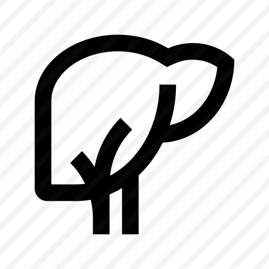 Anatomy Liver Internal Organ Two preview