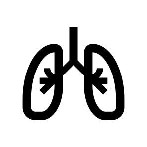 Anatomy Lungs Internal Organ Icon icon