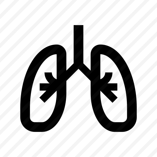 Anatomy Lungs Internal Organ Icon preview
