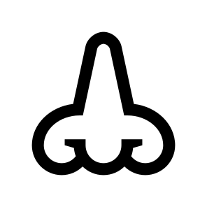Anatomy Nose Smelling One Icon icon