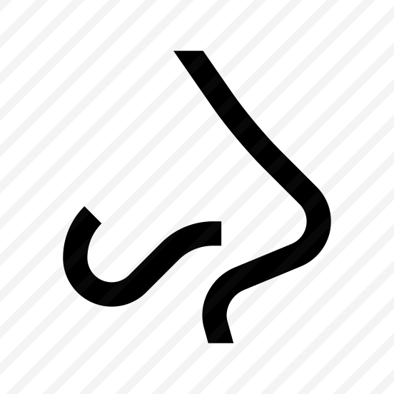 Anatomy Nose Smelling Three Icon preview