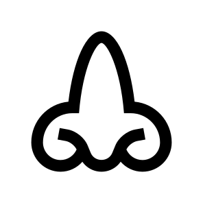 Anatomy Nose Smelling Two Icon icon