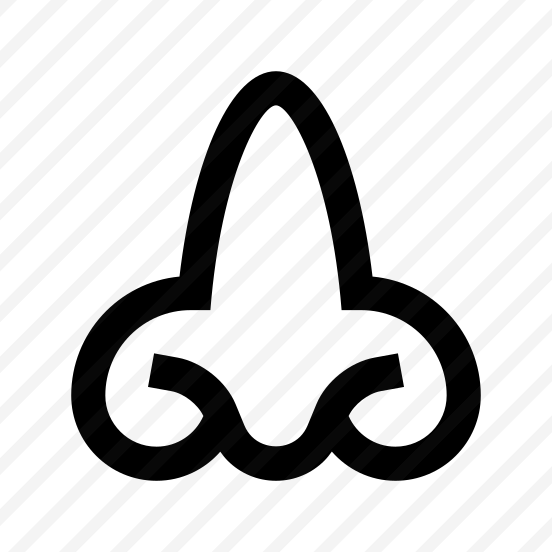 Anatomy Nose Smelling Two Icon preview