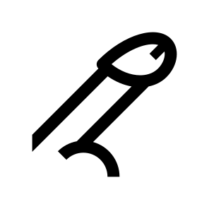 Anatomy Penis Man Male Icon icon