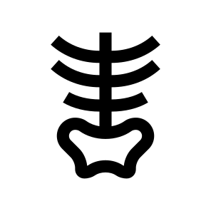 Anatomy Ribs Pelvis Skeleton Icon icon