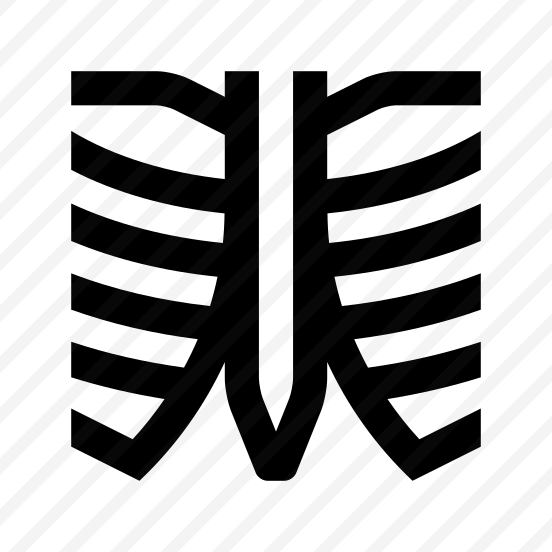 Anatomy Ribs Skeleton One Icon preview