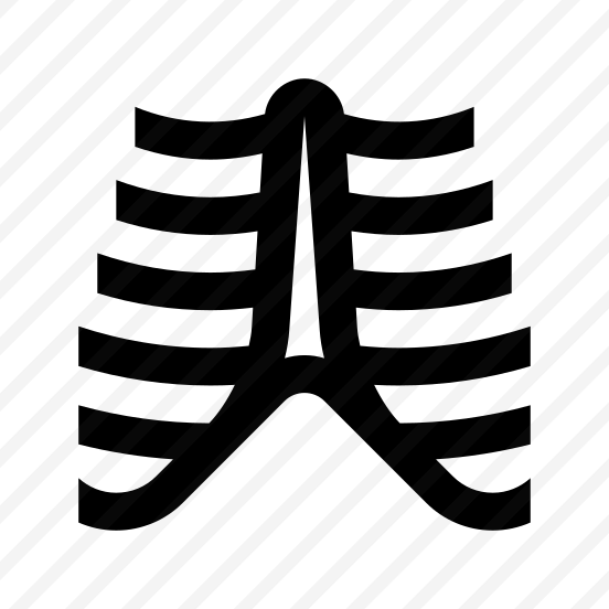 Anatomy Ribs Skeleton Two Icon preview