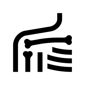 Anatomy Shoulder Ribs Bones Icon icon