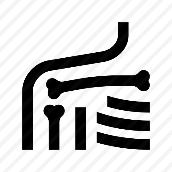 Anatomy Shoulder Ribs Bones Icon preview