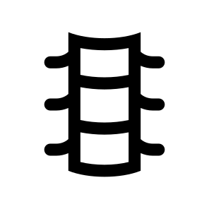 Anatomy Spine Vertebra Skeleton Icon icon