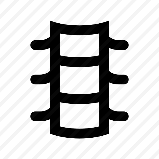Anatomy Spine Vertebra Skeleton Icon preview