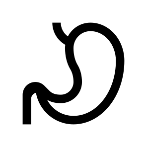 Anatomy Stomach Digestion One Icon icon