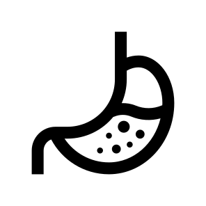 Anatomy Stomach Digestion Two Icon icon