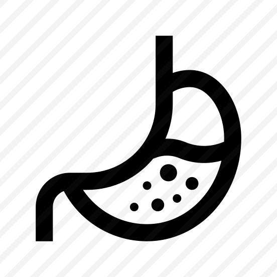 Anatomy Stomach Digestion Two Icon preview
