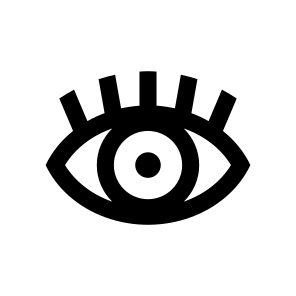 Eye Pupil Eyelash Optic Icon icon