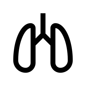 Lungs Internal Organ Icon Symbol icon
