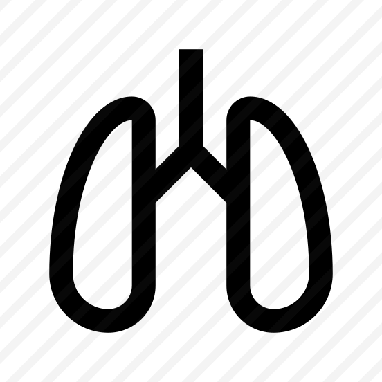 Lungs Internal Organ Icon Symbol preview