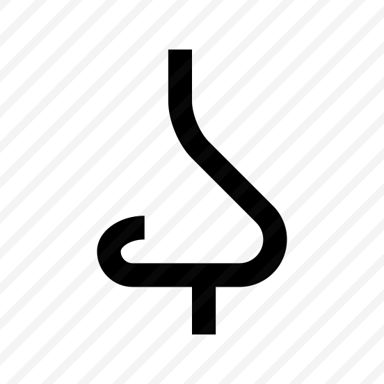 Nose Scent Face Body Part preview