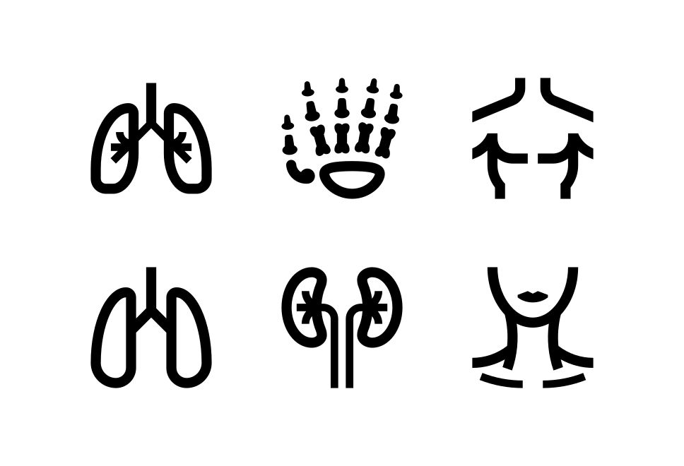 Anatomy Large Set Preview