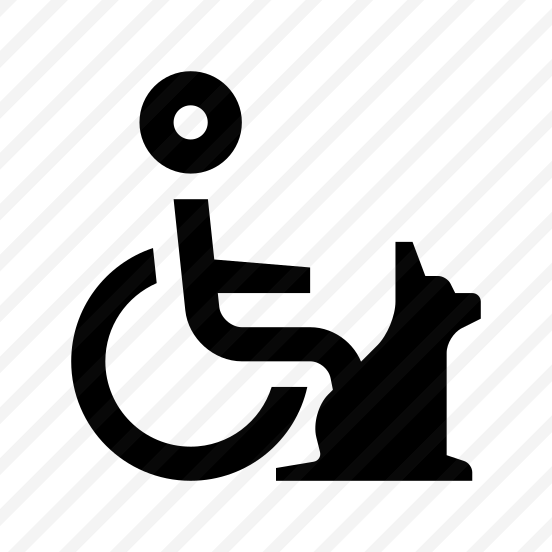 Animal Dogs Guide Dog Disabled Person preview