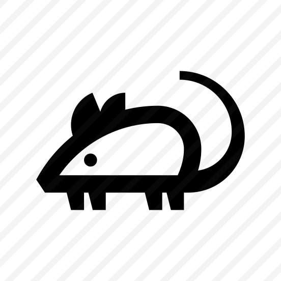 Animal Mouse Rat Rodent Icon preview