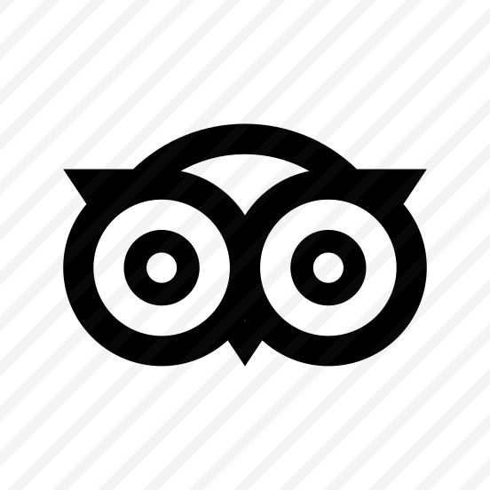 Owl Icon Symbol Vector Ui preview