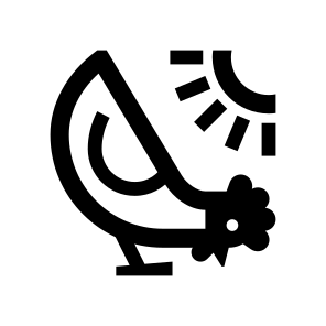 Chicken Hen Bird Two Icon icon