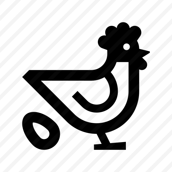 Chicken Laying Hen Bird One preview