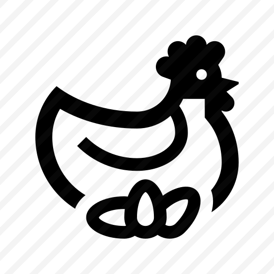 Chicken Laying Hen Bird Two preview