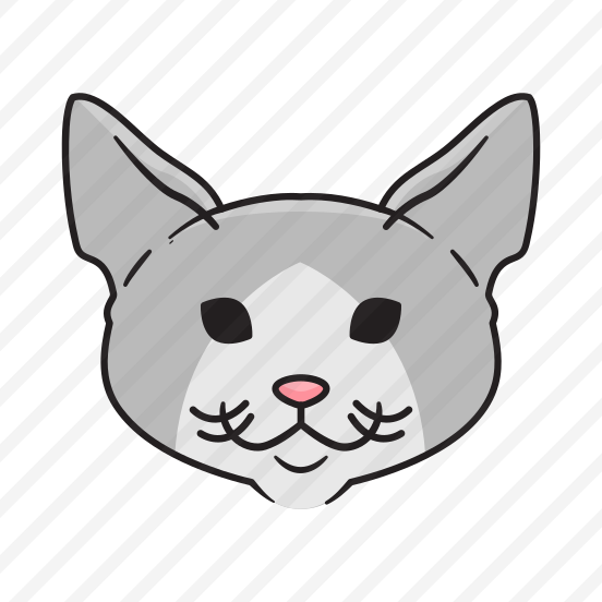 Devon Rex preview