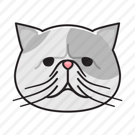 Exotic Shorthair preview