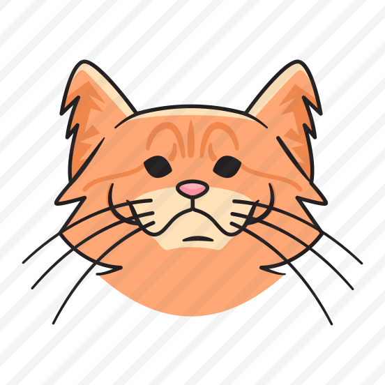 Maine Coon preview