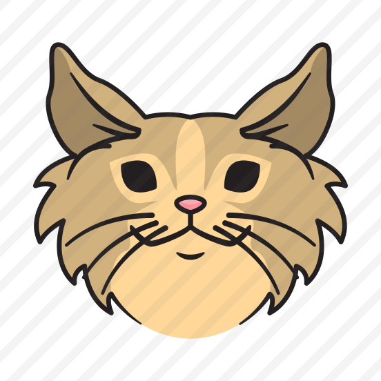 Munchkin preview