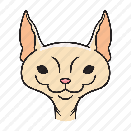 Sphynx Cat preview